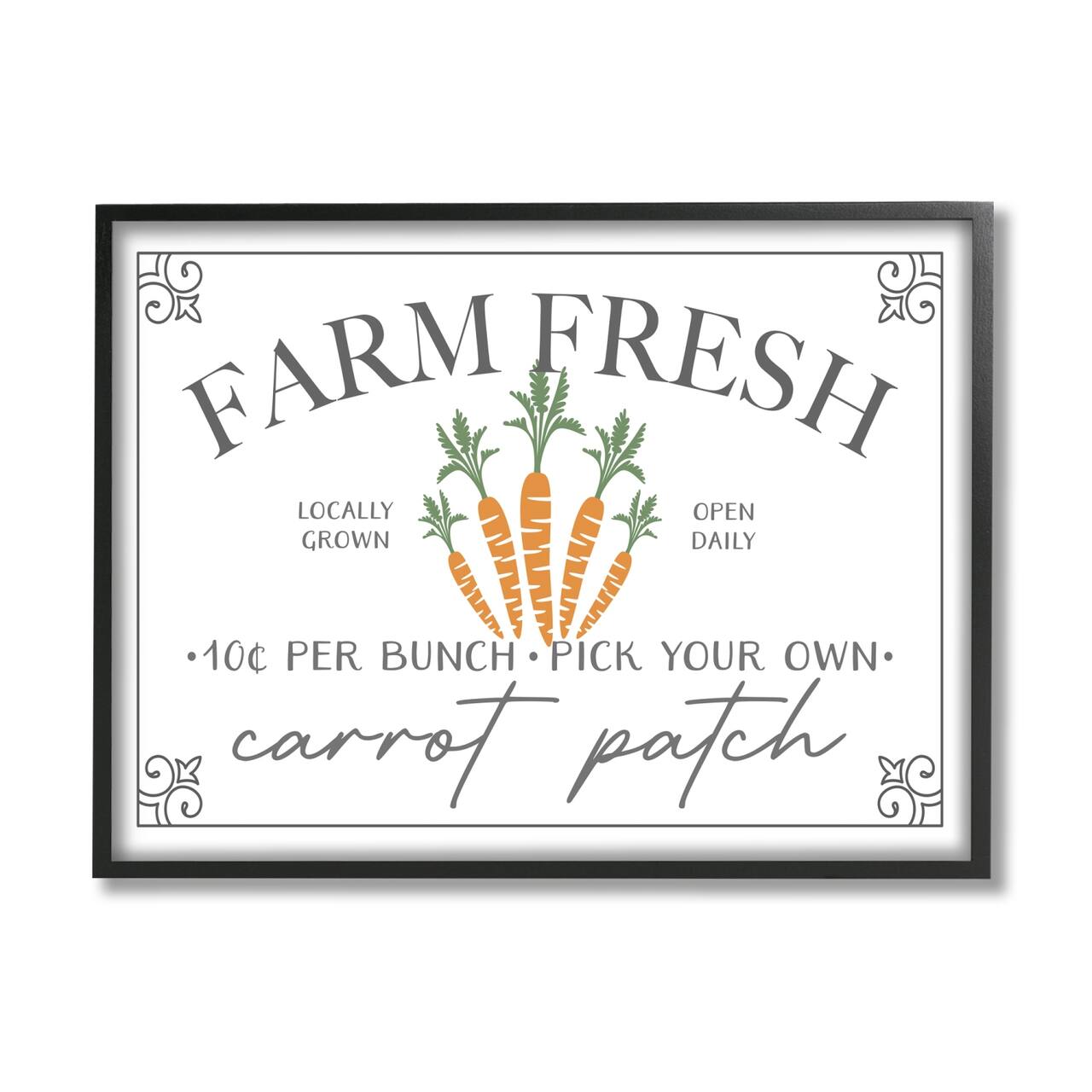 Stupell Industries Farm Fresh Carrot Patch Seasonal Springtime Vegetables Framed Giclee Art